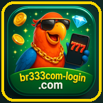 BR333
